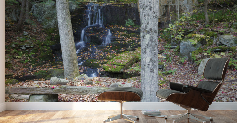 Rollo Fall - Randolph New Hampshire Wall Murals