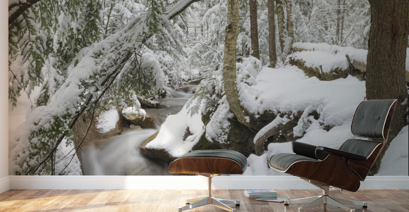 Pemigewasset River - Franconia Notch State Park New Hampshire Wall Murals
