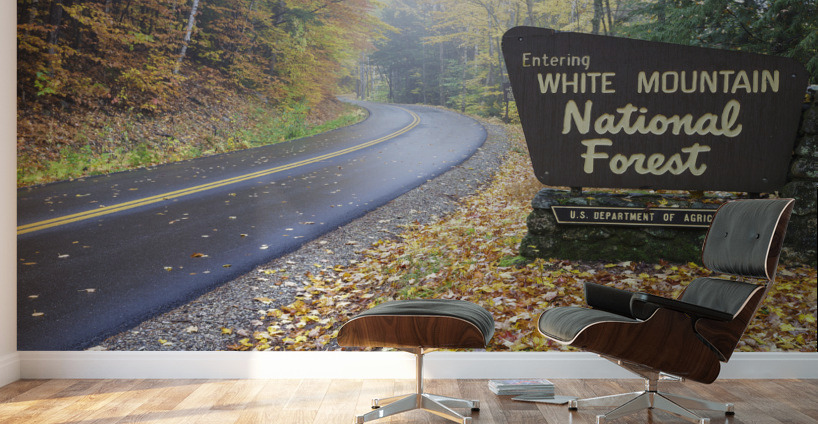 Tripoli Road - Thornton New Hampshire Wall Murals