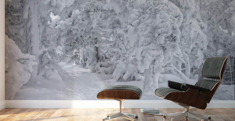 Franconia Notch State Park - Kinsman Ridge Trail Wall Murals