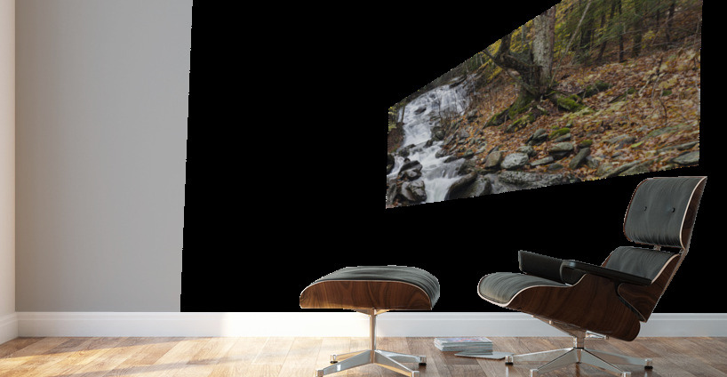 Stark Falls - North Woodstock New Hampshire Wall Murals
