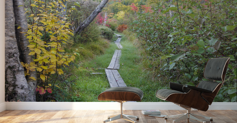 Echo Lake - Franconia Notch New Hampshire Wall Murals