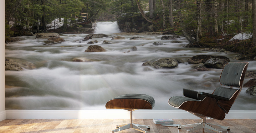 The Baby Flume - Franconia Notch State Park New Hampshire Wall Murals