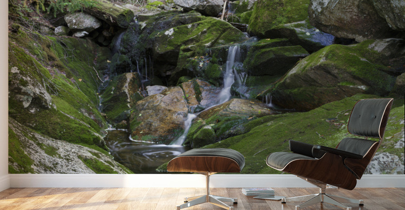 Elephant Head Brook - Carroll New Hampshire  Wall Murals