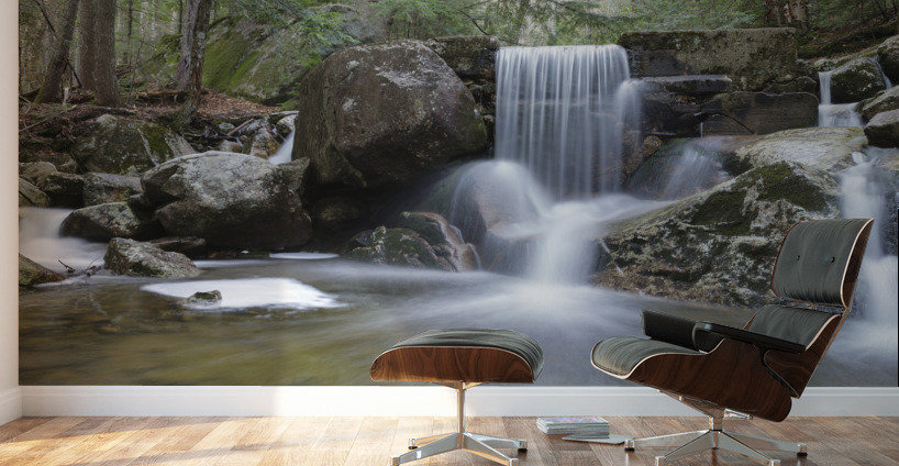 Gibbs Brook - White Mountains New Hampshire Wall Murals