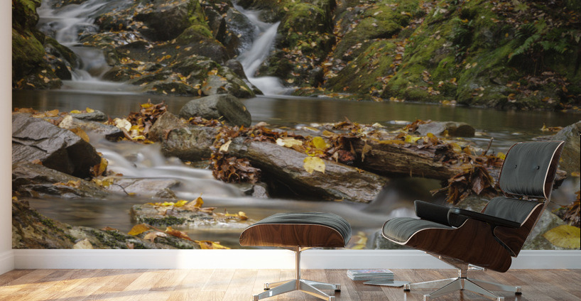 Huntington Cascades - Dixville Notch New Hampshire Wall Murals