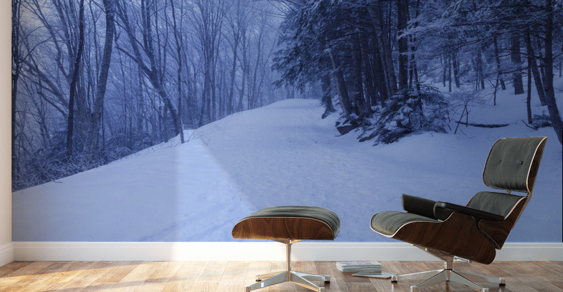 Franconia Notch - White Mountains New Hampshire Wall Murals