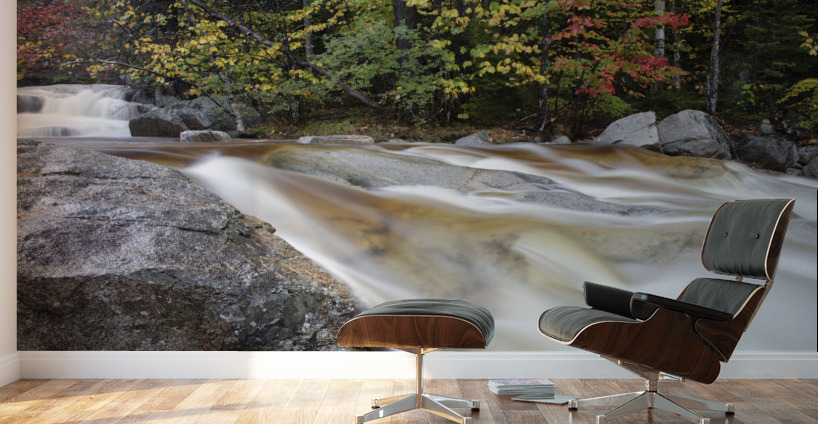 Swift River - White Mountains New Hampshire Wall Murals