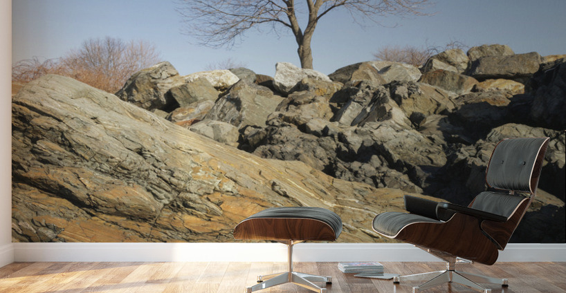 Great Island Common - New Castle New Hampshire Wall Murals