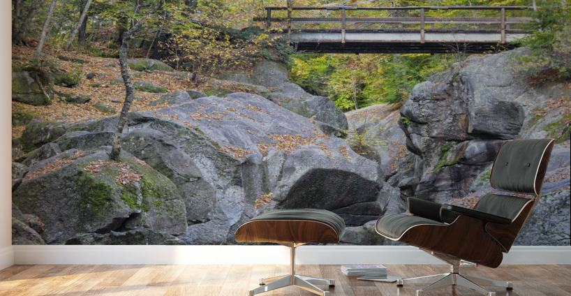 Sculptured Rocks Natural Area - Groton New Hampshire Wall Murals