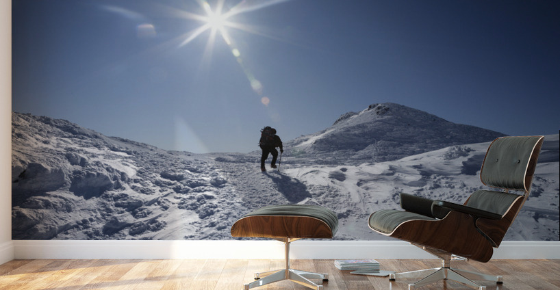 Appalachian Trail - White mountains New Hampshire Wall Murals