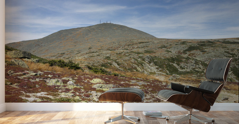 Crawford Path - Mt Washington New Hampshire Wall Murals