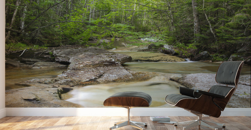 Crystal Brook - Pemigewasset Wilderness New Hampshire Wall Murals