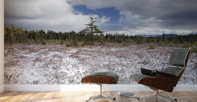 Church Pond - White Mountain National Forest  Wall Murals