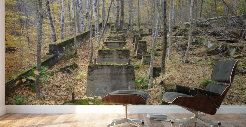 Village of Livermore New Hampshire Wall Murals