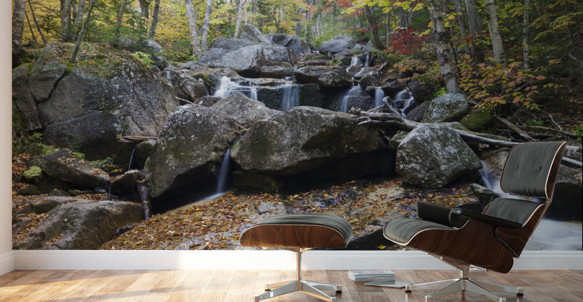 Whitewall Brook - Bethlehem New Hampshire Wall Murals