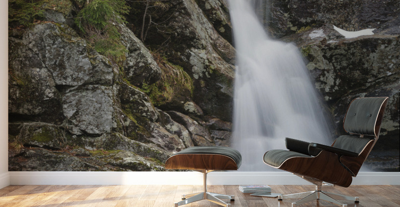 Gibbs Brook - White Mountains New Hampshire  Wall Murals