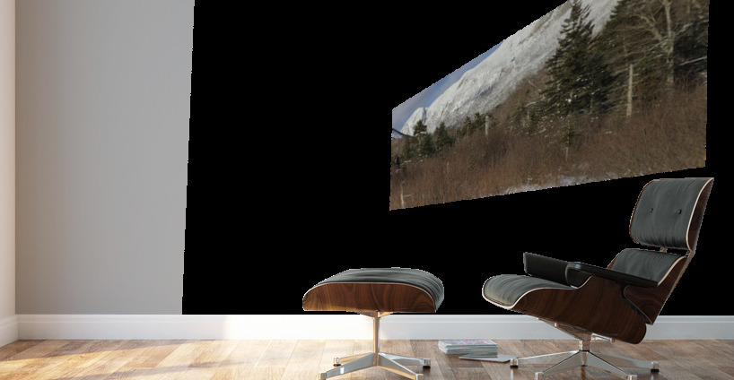 Pemi Trail - Franconia New Hampshire Wall Murals