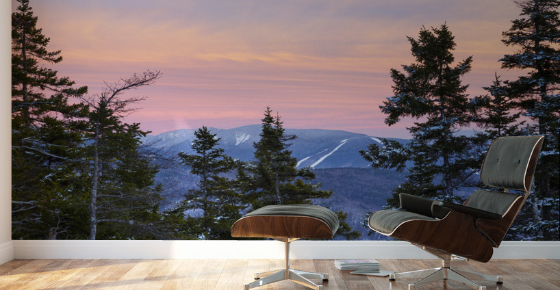 Mount Pemigewasset - Franconia Notch New Hampshire Wall Murals