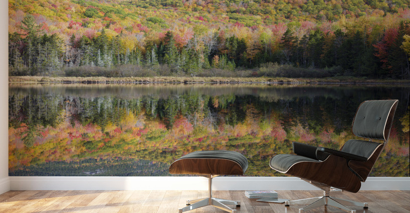 Kiah Pond - Sandwich New Hampshire Wall Murals