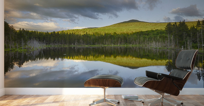 Old Cherry Mountain Road - Carroll New Hampshire Wall Murals