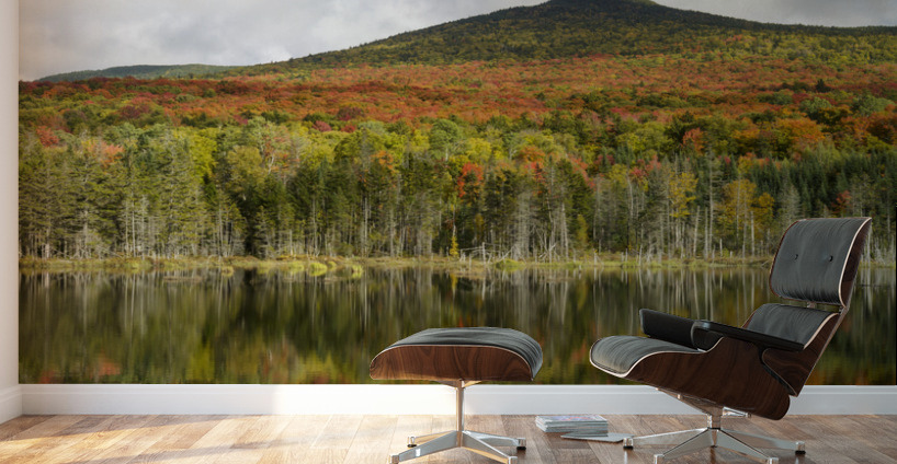 Old Cherry Mountain Road - Carroll New Hampshire Wall Murals