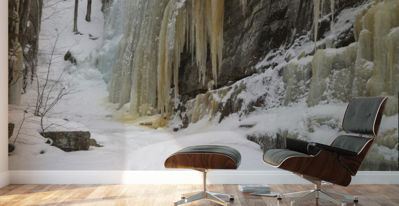 Pitcher Falls - Albany New Hampshire Wall Murals