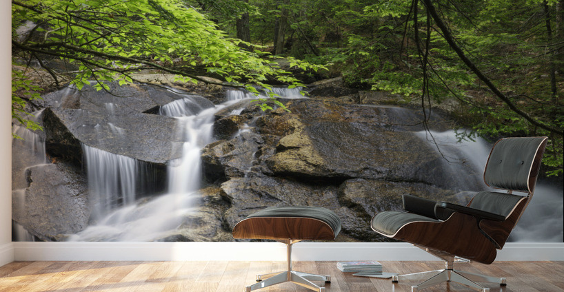 Bearcamp River - Sandwich Notch New Hampshire Wall Murals