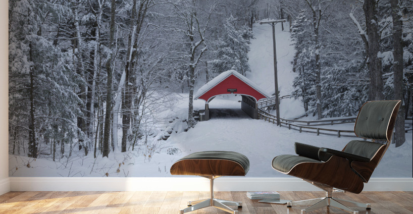 Franconia Notch - White Mountains New Hampshire Wall Murals