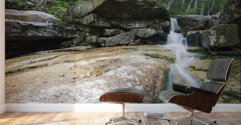 Mt Field Brook Cascades - Bethlehem New Hampshire Wall Murals