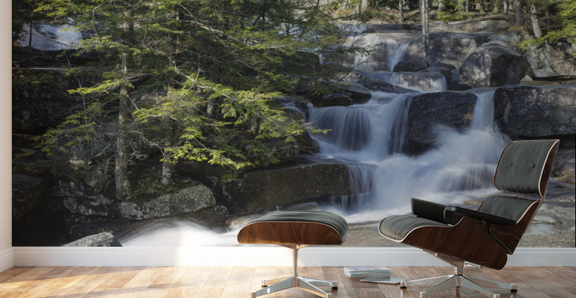 Dianas Baths - Bartlett New Hampshire Wall Murals