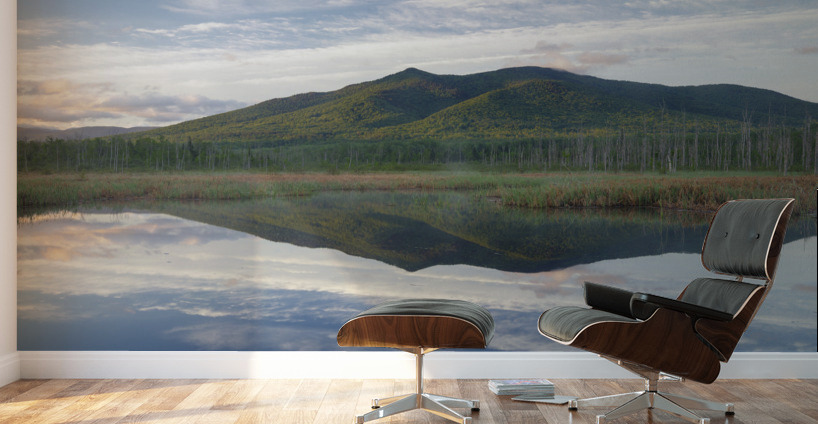 Cherry Mountain - Moorhen Marsh Pondicherry Wildlife Refuge Wall Murals
