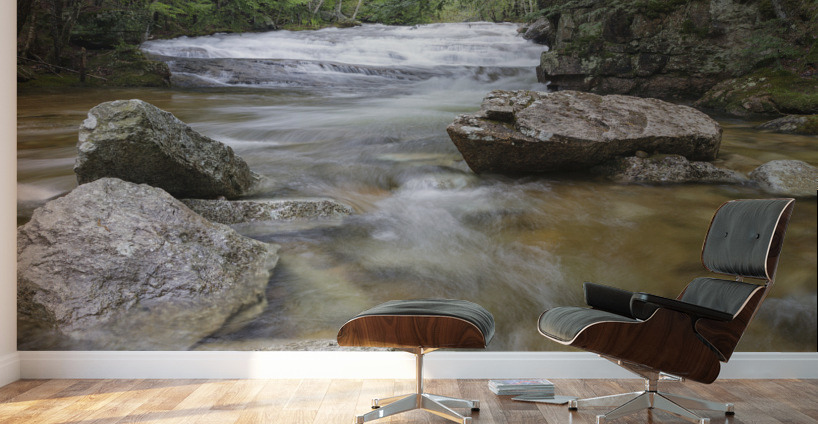 Bartlett Experimental Forest - Bartlett New Hampshire Wall Murals