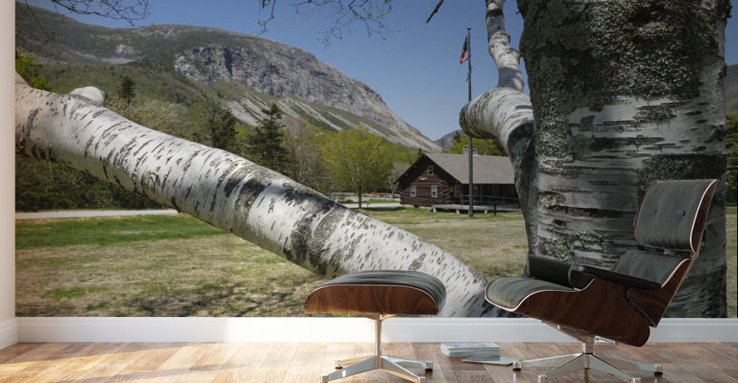 Lafayette Place - Franconia Notch New Hampshire Wall Murals