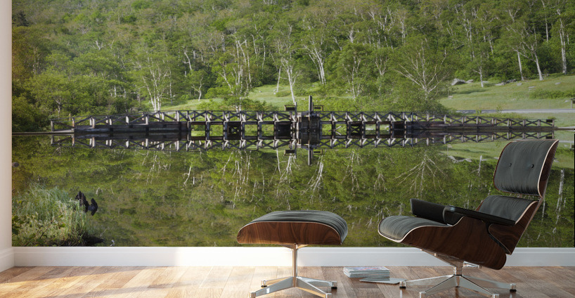 Willey House Historical Site - Crawford Notch New Hampshire Wall Murals
