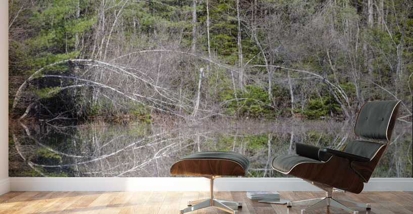 Kancamagus Highway - White Mountains New Hampshire Wall Murals