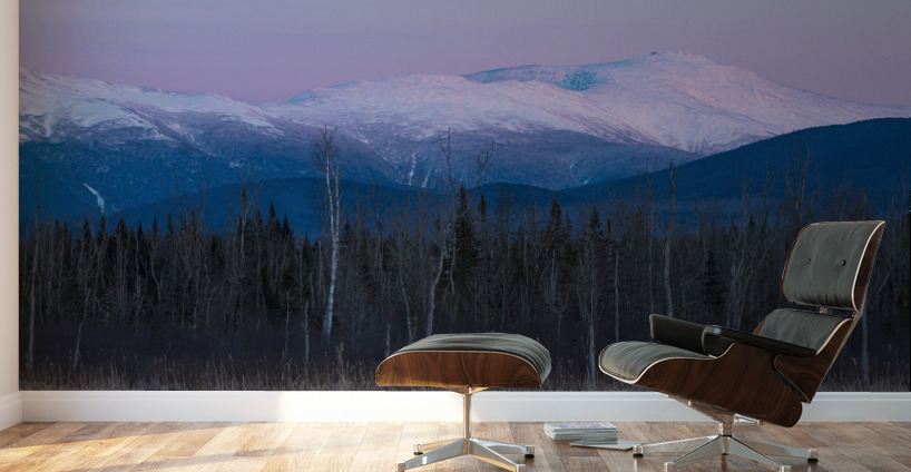 Pondicherry Wildlife Refuge - Jefferson New Hampshire Wall Murals