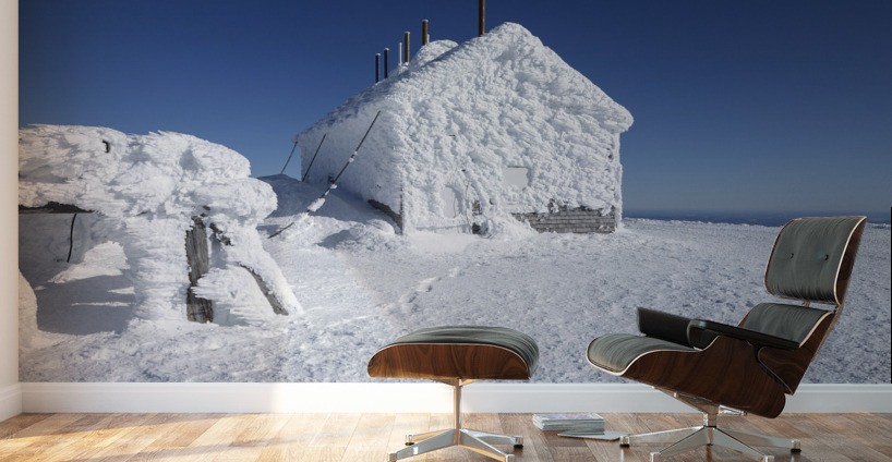 Mount Washington - Sargent’s Purchase New Hampshire Wall Murals