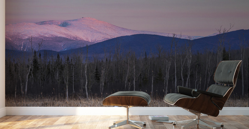 Pondicherry Wildlife Refuge - Jefferson New Hampshire Wall Murals