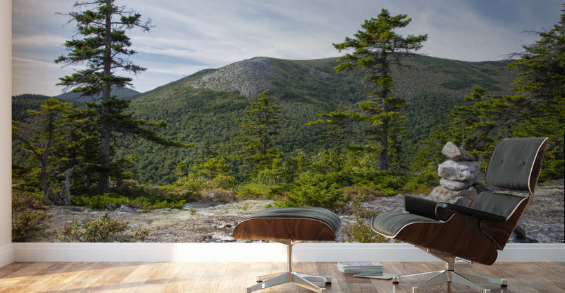 Bicknell Ridge Trail - White Mountains New Hampshire Wall Murals