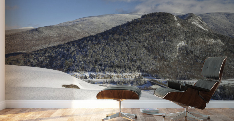 Franconia Notch State Park - White Mountains New Hampshire Wall Murals