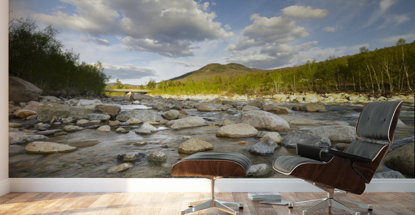 Black Mountain - Lincoln New Hampshire Wall Murals