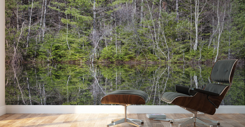 Kancamagus Highway - White Mountains New Hampshire Wall Murals