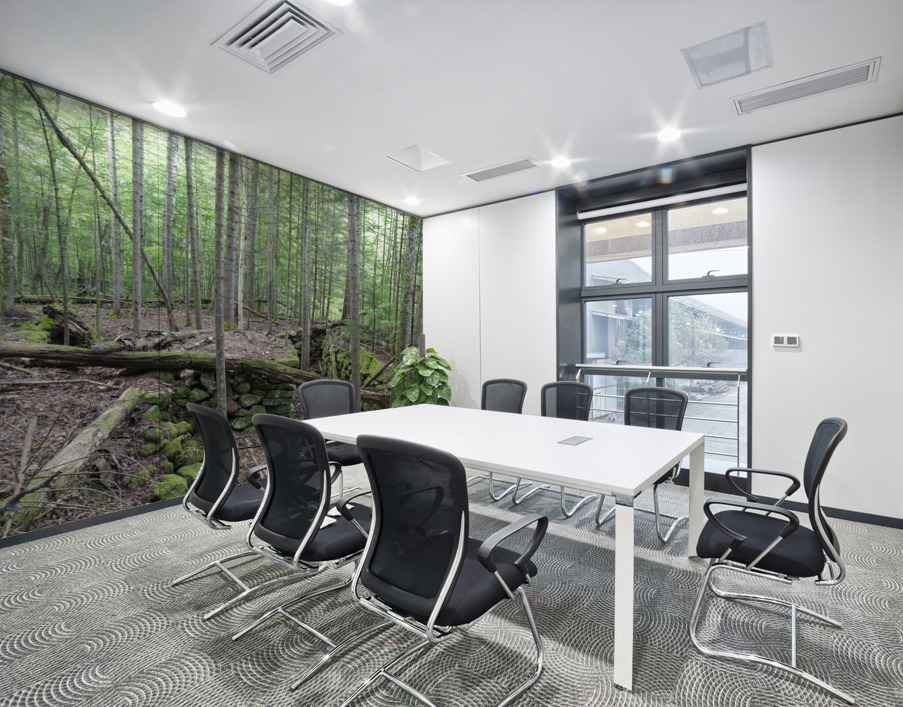 Breezy Point - Warren New Hampshire Wall Printing