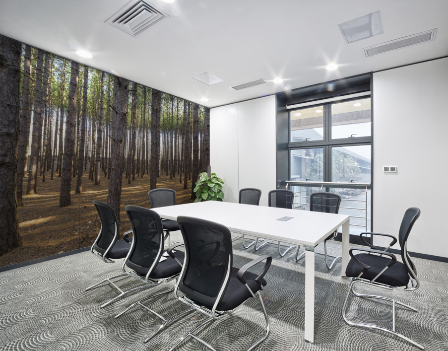 Red Pine Forest - Franconia New Hampshire Wall Printing