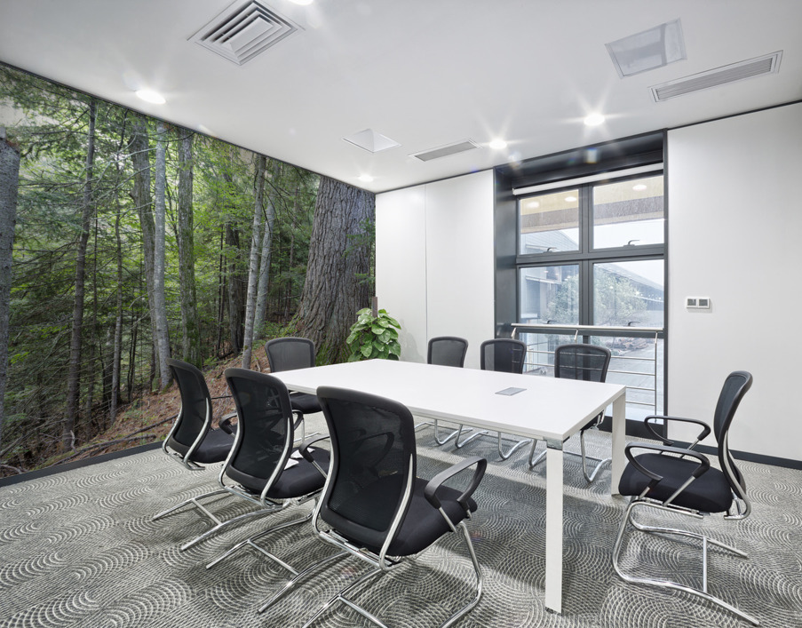 Eastern White Pine - White Mountains New Hampshire Wall Printing