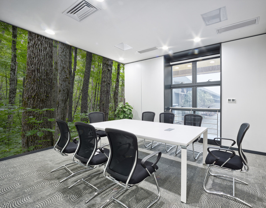 Osseo Trail - White Mountains New Hampshire Wall Printing