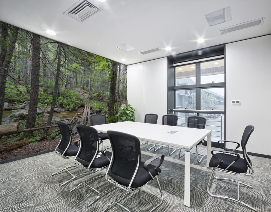 Nancy Pond Trail - Pemigewasset Wilderness New Hampshire  Wall Printing