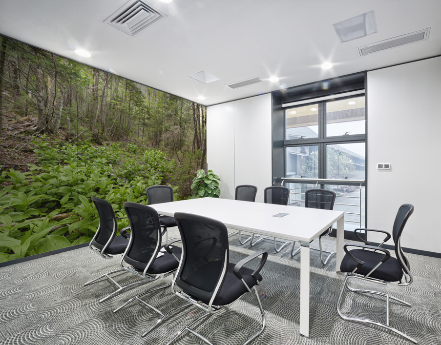 Thoreau Falls Trail - Pemigewasset Wilderness New Hampshire Wall Printing