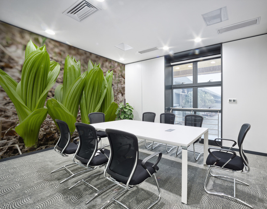 Indian Poke - Veratrum veride Wall Printing